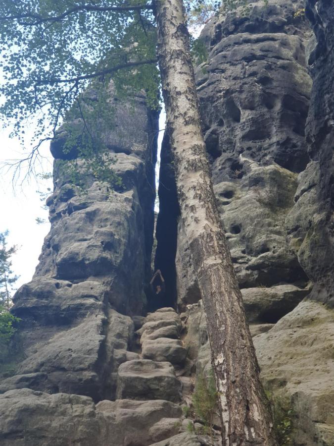Fewo-Hierundjetzt Lichtenhain Bei Sebnitz Am Malerweg Exteriér fotografie
